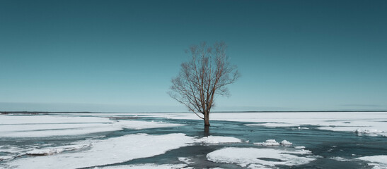 spring landscape from the lake shore, white ice cubes, blue sky, Lake Burtnieki, Latvia