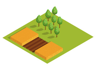 Isometric rural farm. Growing fruit trees and a field with a harvest of wheat or other cereals. icon representing countryside element