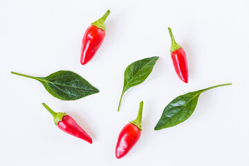 Red chilli peppers and green leaves isolated on white background. Top view.