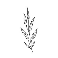 Branch line drawn on white background, doodle, vector illustration