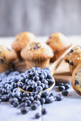 Fresh blueberries with homemade blueberry muffins. Selective focus on center berries with blurred foreground and background.