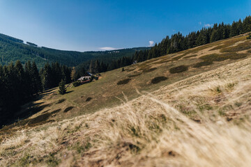 Traditional mountain huts of Krkonose National Park, Czech republic. High mountain meadow and a traditional wooden houses of Giant Mountains, Bohemia.