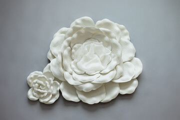 digital photography background flower for newborn and baby