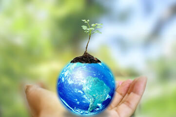 Human Hand holding Earth ball with tree growing on green bokeh background. Concept of World Environment Day, Save the Earth, Preserve Nature, energy in nature. Elements of this image furnished by NASA