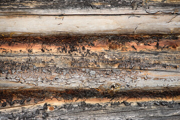 A fragment of anwooden logs wall.
