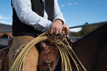 cowboy with horse