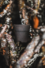 A flowerpot placed on a tree branch.