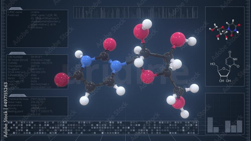 Poster molecule of uridine with infographics on the computer monitor, loopable 3d animation