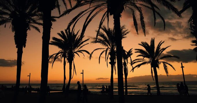 silhouettes of palm trees and people walking on beach promenade at sunset. Tenerife, Canary islands