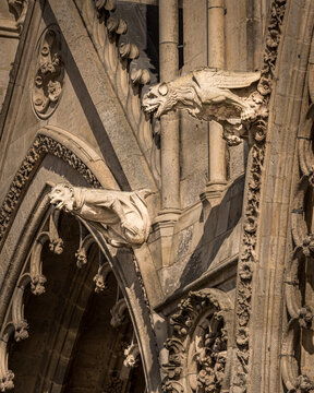 Gothic Gargoyles