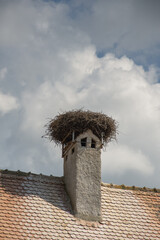 stork's nest  in Romania, Brasov ,Roades,2019