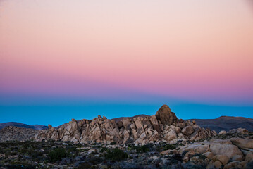 Joshua Tree sunset
