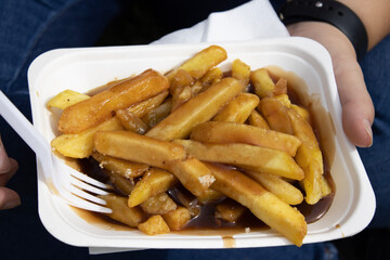 tray of chips with gravy