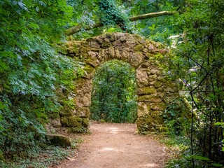 stone path in the forest