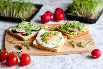 Tasty and healthy breakfast. Toasts or bruschetta with egg, cucumber, radish, avocado and microgreens on the table close-up