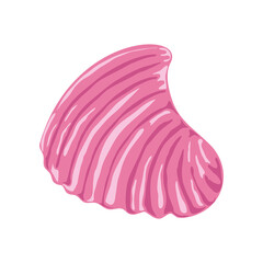 sea shell isolated