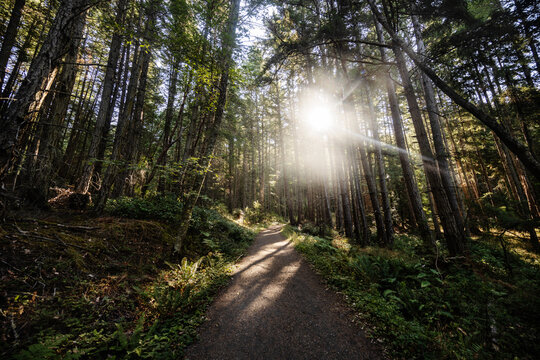 Trail in the San Juan Islands, Washington State, Pacific Northwest