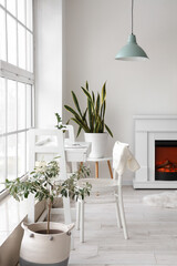 Comfortable workplace and houseplant near window in light room interior