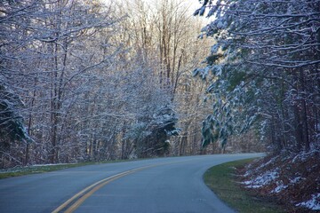 Smoky Mountain Scenes