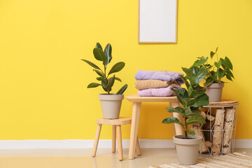 Tables with stack of knitted sweaters and houseplants near yellow wall