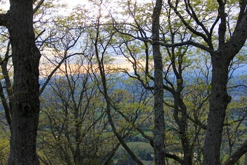 Smoky Mountain Scenes