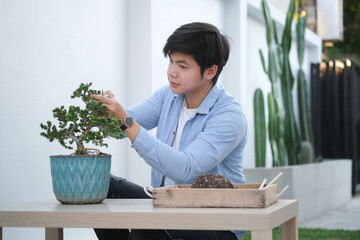 Handsome young asian man trimming bonsai tree pruning shears. Hobbies, leisure, home gardening...