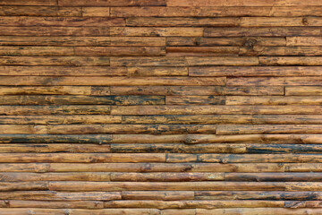 Texture of tree trunks wall for background. Wooden trunks wall surface