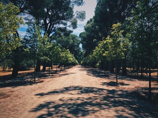 path in the park