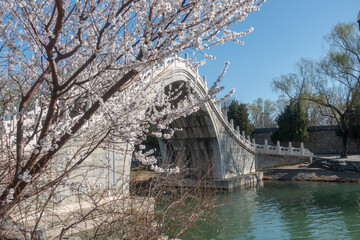 An arch bridge in Summer Palace in spring, Beijing of china