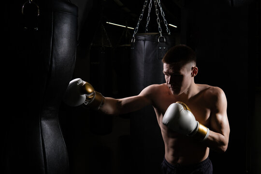 Bag The boxer blows the practices athlete glove black young male body, In the afternoon strength gloves for combat for fit lifestyle, studio sweat. Athletic active people, fitness