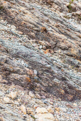 Rocks texture