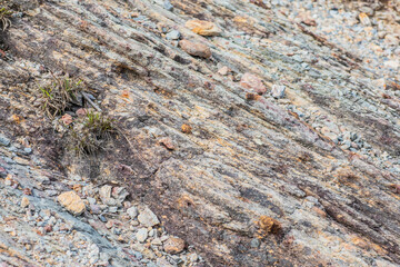 Rocks texture
