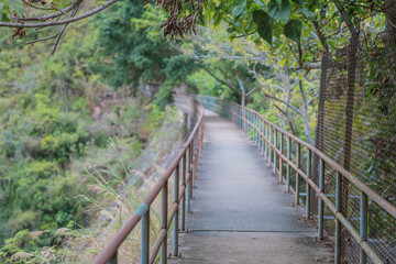 Road with fence in countryside