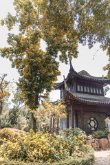 Mock old history chinese building in Kowloon Walled City Garden, Hong Kong, autumn