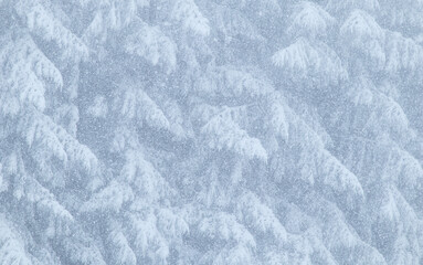 winter abstract forest snow and fog