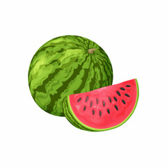 Watermelon. Image of a ripe watermelon. Cut pieces of ripe red watermelon. Vector illustration isolated on a white background