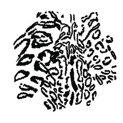 Tiger texture. Set of leopard spots as a logo, blank for designers, print, element