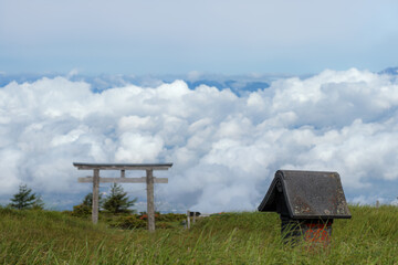 鉢伏山から見る雲海に隠れる松本盆地と山頂の祠と鳥居