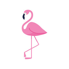 flamingo bird icon