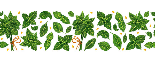 Bunch of fresh basil, leaves watercolor seamless border. Hand drawn illustration on white background. Spicy spring herb, garden seasoning. Botanical backdrop for decorating menu, cafe, wrapping