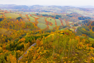 Aerial view of picturesque autumn hilly landscape with winding road between yellow trees..