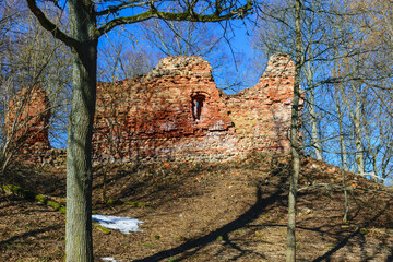 Spring landscape with red brick castle ruins, bare trees without leaves
