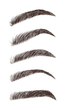 Eyebrows in different shapes. Linear vector Illustration in trendy minimalist style. Brow bar logo.