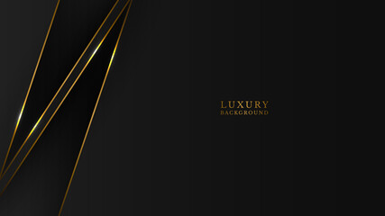 abstract black luxury gold  line background. vector illustration