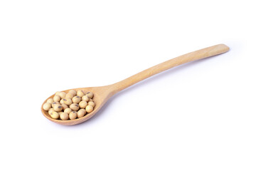 Soybean in spoon	