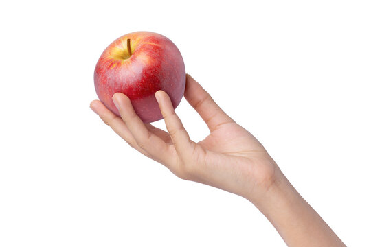 Female hand holding red apple isolated on white background. 
