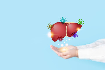 World hepatitis day concept. Doctor hands holding liver with virus symbol for diagnosis types of viral hepatitis that causes liver cancer. Awareness of prevention and treatment viral hepatitis. - obrazy, fototapety, plakaty
