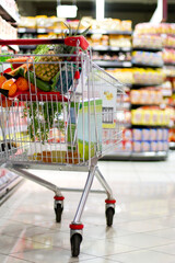 In the supermarket. A shopping cart filled with fresh groceries.