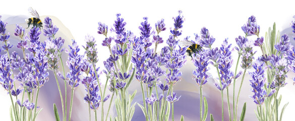 Seamless border with lavender flowers and bee. Hand draw watercolor images. Spring summer banner template
