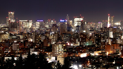 Obraz premium Night view of Sapporo, Hokkaido, Japan. Japan's new top three night views. 日本新三大夜景都市 札幌の夜景 旭山記念公園 その2